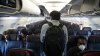El Congreso evalúa nueva lista de prohibición de vuelos para pasajeros indisciplinados