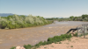 Rescatan a un hombre y a su perro de las aguas del Río Grande en Albuquerque