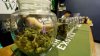 Nueva campaña busca concientizar sobre el uso del cannabis en Nuevo México