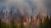 Estudio revela cómo el humo de los incendios forestales tiene un impacto negativo en el cerebro