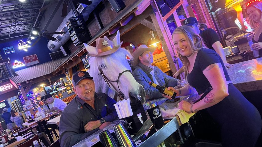 Sheriff and his owner, Michael, in a bar.