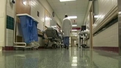 Crean vacuna en la Universidad de Nuevo México para tratar el colesterol