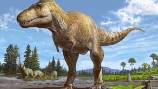 Investigadores dicen que el T. mcraeensis tenía aproximadamente el mismo tamaño que el T. rex y también comía carne.