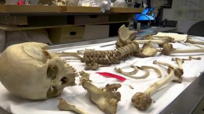 En detalle: qué pasa con los restos óseos de migrantes no identificados fallecidos en el desierto