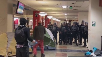 Video: Arrestan a 16 personas en manifestación en la Universidad de Nuevo México