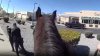Policía de Albuquerque: Persecución a caballo paraliza el tráfico en un intento de detener a un sospechoso