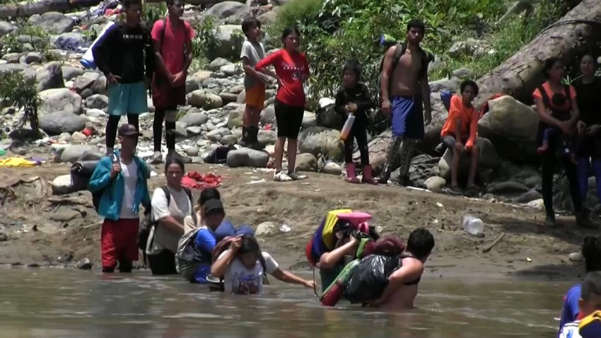 Foto de migrantes parados en la selva del Darien.