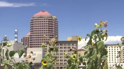 “Conversaciones constructivas”: habla con líderes de Albuquerque sobre problemas en tu comunidad