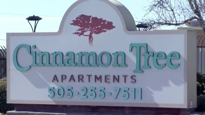 Pareja enfrenta cargos por un asesinato en los apartamentos Cinnamon Tree en Albuquerque