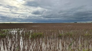 Las inundaciones en Uruguay dejan más de 2.000 desplazados y plantaciones afectadas
