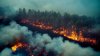Emplean medidas de supresión en incendio forestal en el Bosque Nacional Gila