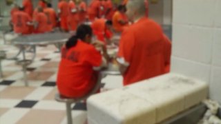 El recluso se presentó por su cuenta ante los Servicios Previos al Juicio y cumplió con los requisitos restantes para su liberación.