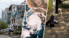 Uno por uno: los huracanes que han tocado tierra en México