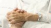 Reportan la primera muerte por el virus del Nilo Occidental en el condado Bernalillo