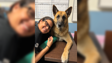 La Dra. Maria Serrano, la veterinaria jefe de Miami Dade Animal Services y Whiskey (antes conocido como Victor).