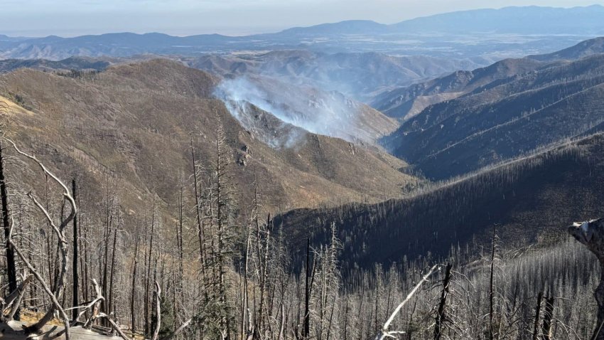 El incendio está contenido en un 0% y se está alimentando de hierba.