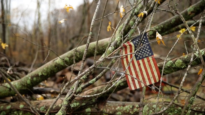 An American flag picked up by winds sits in a fallen tree after a severe autumn thunderstorm, which may have included a tornado, passed through, Sunday, November 5, 2017 in Springville, Ind.