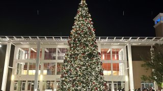 El árbol navideño de 36 pies fue encendido el martes en la Plaza Cívica de Albuquerque.