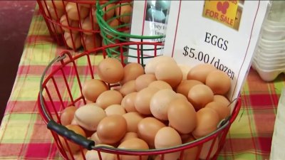 Se espera que los precios de los huevos alcancen niveles récord