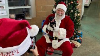 Santa también estará llevándole regalos a los animales que viven en el refugio.