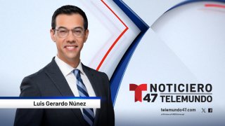 T47_LuisGerardoNunez_ WebProfile