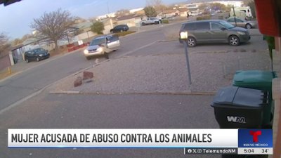 Mujer acusada de abuso contra animales