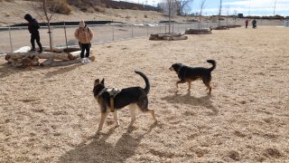 Para obtener más información o buscar el parque para perros más cerca de ti, visita cabq.gov/dogparks.