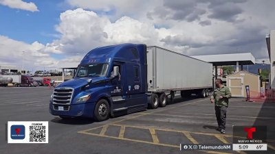 Camioneros deberán hablar inglés