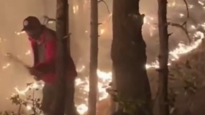 Catastróficos incendios forestales ponen en peligro la sierra de Chihuahua