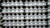 Retiran del mercado más de 19 millones de huevos por riesgo de salmonella