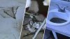 Aguas negras y cables expuestos: destapan crisis en apartamentos de Albuquerque
