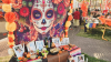 Día de los Muertos 2026 en Old Town: nueve días de cultura y tradición